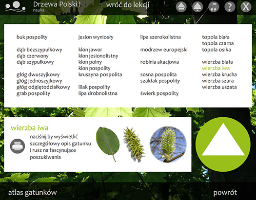 lista omawianych gatunków