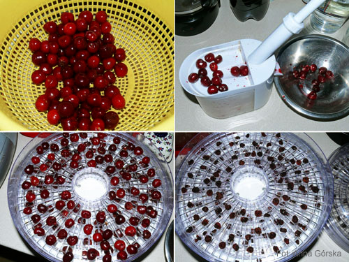 Czereśnia ptasia, Prunus avium, suszone owoce