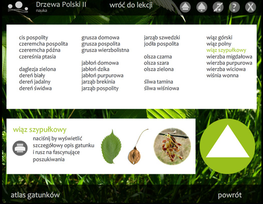 lista omawianych gatunków
