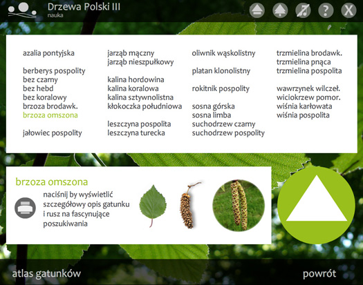 lista omawianych gatunków
