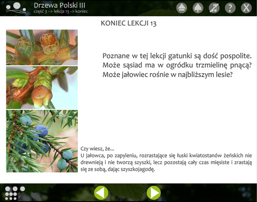koniec lekcji